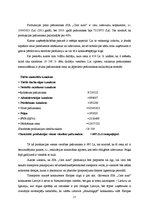 Referāts 'Uzņēmuma bilance. Ierosinājumi', 17.