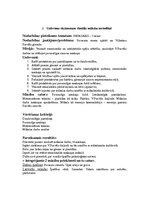 Paraugs 'Vizuālās mākslas stunda', 2.