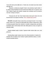 Referāts 'Iepazīsti Latviju', 9.