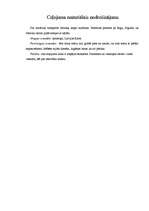 Referāts 'Iepazīsti Latviju', 11.