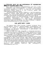 Referāts 'Зрение', 1.