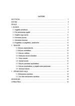 Referāts 'Farmaceitiskā uzņēmuma iepirkuma procesa modeļa izstrāde', 6.