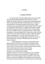 Referāts 'Farmaceitiskā uzņēmuma iepirkuma procesa modeļa izstrāde', 8.