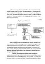 Referāts 'Farmaceitiskā uzņēmuma iepirkuma procesa modeļa izstrāde', 11.