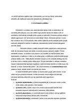 Referāts 'Farmaceitiskā uzņēmuma iepirkuma procesa modeļa izstrāde', 13.