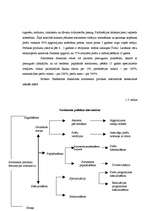 Referāts 'Farmaceitiskā uzņēmuma iepirkuma procesa modeļa izstrāde', 15.
