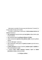 Referāts 'Farmaceitiskā uzņēmuma iepirkuma procesa modeļa izstrāde', 20.