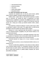 Diplomdarbs 'Ziedu salona "Rēzija" mārketinga darbības analīze un pilnveide', 11.