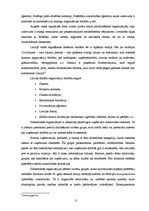 Diplomdarbs 'Ziedu salona "Rēzija" mārketinga darbības analīze un pilnveide', 13.