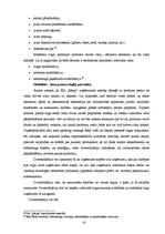 Diplomdarbs 'Ziedu salona "Rēzija" mārketinga darbības analīze un pilnveide', 44.