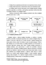 Diplomdarbs 'Ziedu salona "Rēzija" mārketinga darbības analīze un pilnveide', 79.