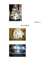 Diplomdarbs 'Ziedu salona "Rēzija" mārketinga darbības analīze un pilnveide', 109.