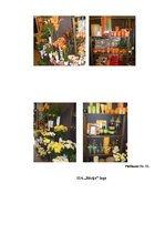 Diplomdarbs 'Ziedu salona "Rēzija" mārketinga darbības analīze un pilnveide', 113.