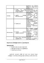 Referāts 'Stratēģiskā vadībzinība', 10.