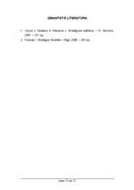 Referāts 'Stratēģiskā vadībzinība', 12.