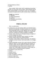 Referāts 'Stress', 4.