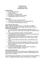 Konspekts 'Krisīnes Ulbergas grāmata "Tur" analīze', 1.