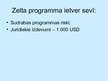Prezentācija 'Ceļojumu apdrošināšana', 17.