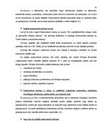 Referāts 'Konkurences politikas analīze Latvijā', 28.