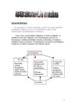 Konspekts 'Es un savstārpējās attiecības', 1.