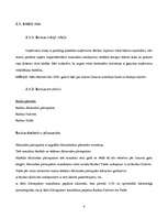 Konspekts 'AS "Hansabanka" iekšējās un ārējās vides raksturojums', 4.