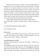 Konspekts 'AS "Hansabanka" iekšējās un ārējās vides raksturojums', 11.