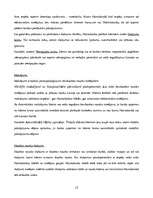 Konspekts 'AS "Hansabanka" iekšējās un ārējās vides raksturojums', 12.