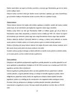 Konspekts 'AS "Hansabanka" iekšējās un ārējās vides raksturojums', 13.