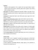 Konspekts 'AS "Hansabanka" iekšējās un ārējās vides raksturojums', 17.