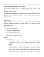 Konspekts 'AS "Hansabanka" iekšējās un ārējās vides raksturojums', 18.