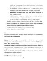 Konspekts 'AS "Hansabanka" iekšējās un ārējās vides raksturojums', 19.