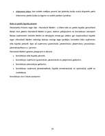 Konspekts 'AS "Hansabanka" iekšējās un ārējās vides raksturojums', 24.