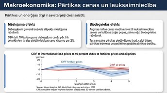 Prezentācija 'Enerģijas cenu ietekme uz ekonomiku', 8.