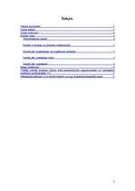 Referāts 'Kredītu veidi un riski', 2.