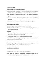 Konspekts 'Praktiskais darbs sporta medicīnā "Sportista anamnēze"', 5.