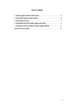 Referāts 'Sabiedrisko attiecību analīze pašvaldībā', 2.