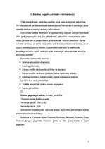 Referāts 'Sabiedrisko attiecību analīze pašvaldībā', 3.