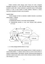 Diplomdarbs 'Sociālpedagoģiskais darbs pirmsskolas izglītības iestādēs ar bērniem un viņu vec', 11.