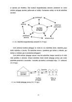 Diplomdarbs 'Sociālpedagoģiskais darbs pirmsskolas izglītības iestādēs ar bērniem un viņu vec', 13.