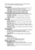 Konspekts 'Domāšana un runa', 3.