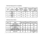 Konspekts 'Tilta balsta pāļu pamats', 2.