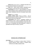 Referāts 'Īpašuma apdrošināšana un apdrošināmo zaudējumu problēmas Latvijā', 24.