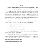 Referāts 'Kalendāra rašanās', 3.