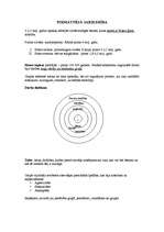 Konspekts 'Pirmatnējā sabiedrība', 1.