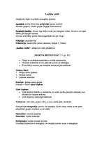 Konspekts 'Pirmatnējā sabiedrība', 2.