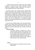 Diplomdarbs 'Rakstīšanas traucējumu novēršana 2. un 3.klases skolēniem ar nepietiekami attīst', 64.