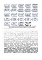 Referāts 'Latvijas tautsaimniecības krīzes iemesli un iespējamie risinājumi', 9.