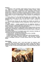 Konspekts 'Kļūdu labojums patoloģijā', 7.