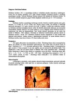 Konspekts 'Kļūdu labojums patoloģijā', 11.