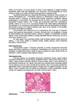 Konspekts 'Kļūdu labojums patoloģijā', 18.